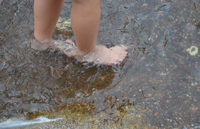 「水虫」の名前の由来